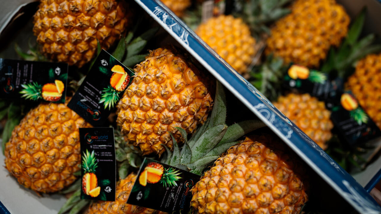 UK pizzeria reignites pineapple debate with $120 charge